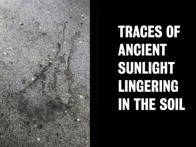 Preliminary images for Tim Etchells' lightbox works. Courtesy of Vitrine