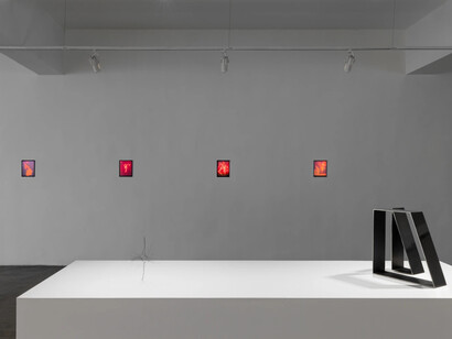 Daniel Steegmann Mangrané, Uma folha translúcida no lugar dos olhos, exhibition view. Courtesy of Mendes Wood DM 