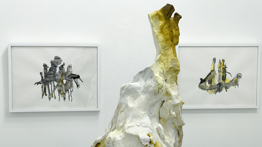 Adaptations, exhibition view. Courtesy of Bruno David Gallery