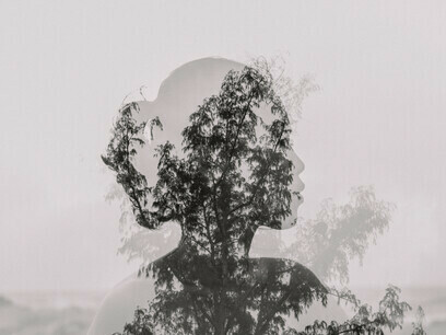 Friedensverweigerung verlängert menschliches Leid und globale Instabilität