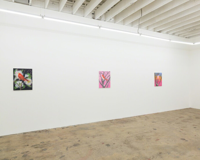 Snowbirds. Courtesy of Nina Johnson