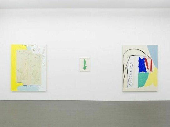 Patricia Treib, Installation Views