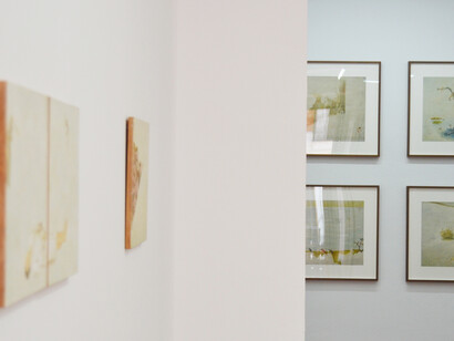 Melanie Smith. Courtesy of Galería La Caja Negra