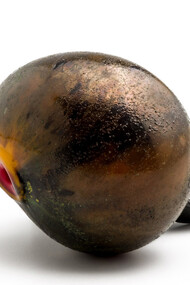 Anello di Paolo Marcolongo
