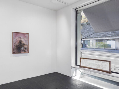 Lêna Bùi, Skin in my stomach, exhibition view. Courtesy of Galerie Urs Meile