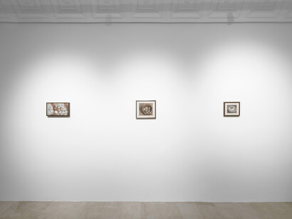 Justin Bradshaw, 9 paintings of drapery and eggs, exhibition view. Courtesy of Amanita