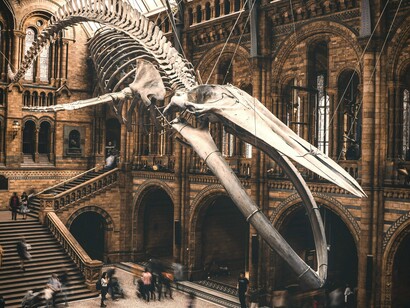 Museu Britânico. Um dos marcos avanço da ciência moderna e o desenvolvimento de métodos de catalogação e classificação foi a criação do Museu Britânico, em Londres, em 1753. A partir de uma doação privada do médico e colecionador Hans Sloane, o museu foi fundado com o propósito de disponibilizar seu vasto acervo para estudo e contemplação pública. Foi o primeiro museu nacional público do mundo 

