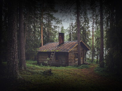 Cabaña solitaria en medio del bosque