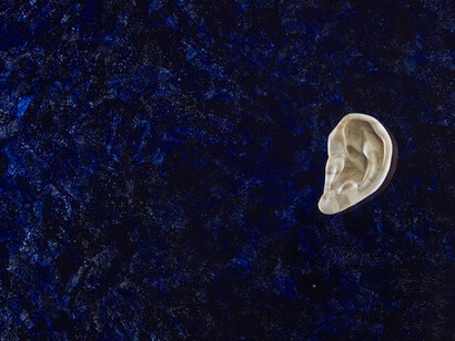Jan Fabre. Courtesy of Abbazia di San Gregorio