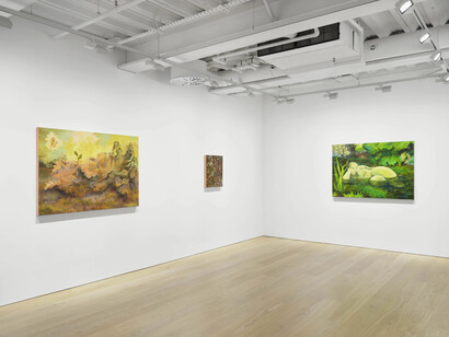 Georg Wilson, The last oozings, exhibition view. Courtesy of Pilar Corrias Gallery