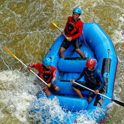Ante nuestra atónita mirada vimos que uno de ellos desapareció bajo el agua 