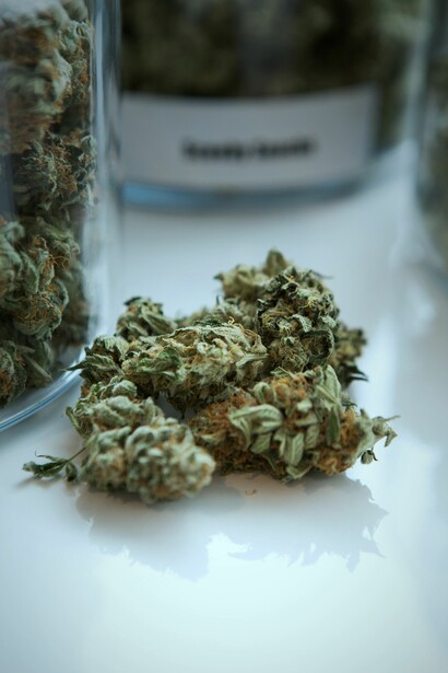 La cannabis in medicina