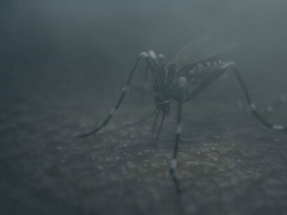 Pedro Neves Marques. Courtesy of Pérez Art Museum