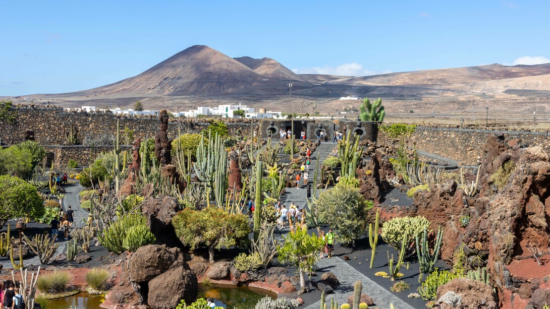Jardin de Cactus, Lanzarote, Spagna