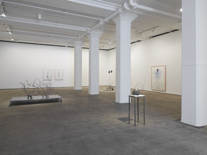 Installation view of The Vertebrae Oracle at Sean Kelly, New York, May 10 - June 21, 2014. Photography: Jason Wyche © Rebecca Horn. Courtesy: Sean Kelly, New York
