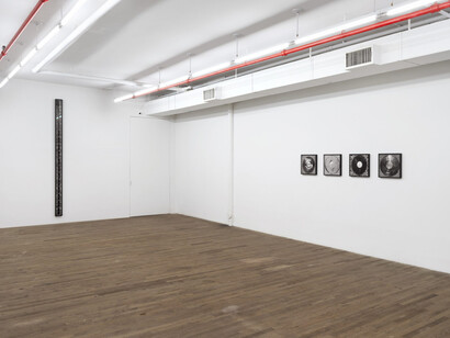 Shannon Ebner, The seaweed synthesizer, exhibition view. Courtesy of kaufmann repetto