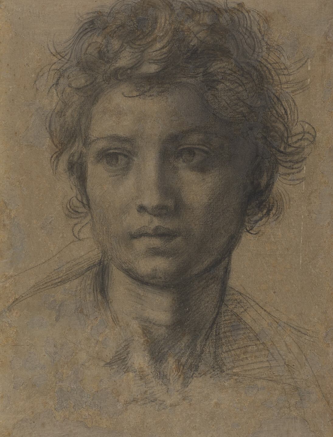 Andrea del Sarto (1486–1530) Study for the Head of Saint John the Baptist (detail), ca. 1523 Black chalk 13 x 9 1/8 inches National Gallery of Art Courtesy of the National Gallery of Art, Washington, D.C., Woodner Collection, 1991.182.14