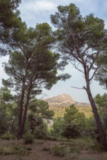 Boomoon. Courtesy of Galerie Lelong