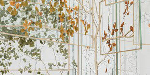 The Garden. The Present- Courtesy of ARoS