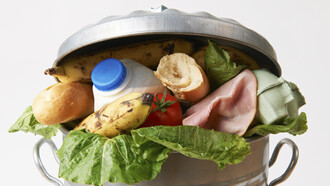 Wasted food