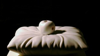 Michele Davenia, L'altra faccia del peccato