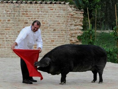 Quasi una corrida con il maiale nero