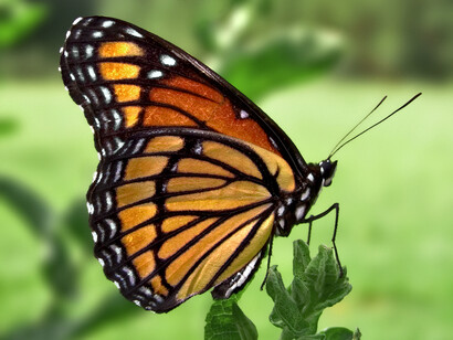 You don’t have to like everyone    