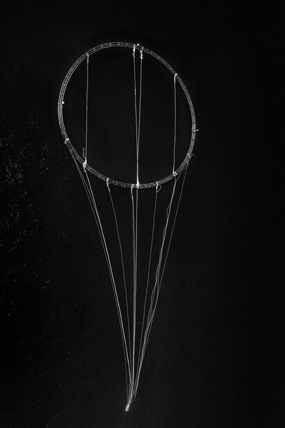 Francesco Zizola, Mare Omnis, Roma, Galleria del Cembalo