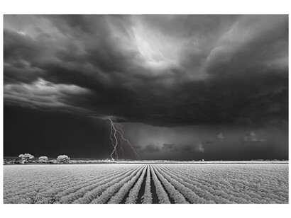Mitch Dobrowner, Lightning Over Cotton Field, 2021, archival pigment ink print, 14x20 inches, edition of 15; 20x30 inches, edition of 25; 34x50 inches, edition of 5. Courtesy the artist and Catherine Couturier Gallery