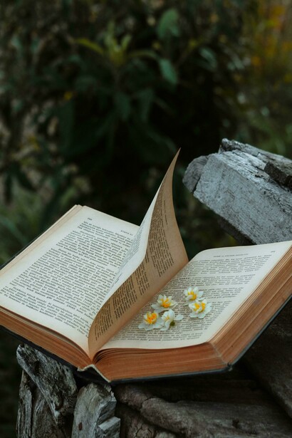 Libro sobre un tronco, con pequeñas flores entre sus páginas