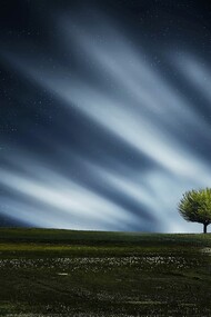 World Environment Day occurs on 5 June every year