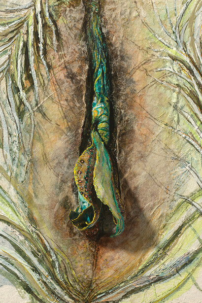 Serie Diversidad de la Naturaleza de Jacqueline Secor