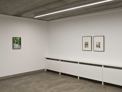 Marc Bauer. Courtesy of Deweer Gallery