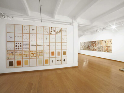 Herman De Vries. Courtesy of Cortesi Gallery