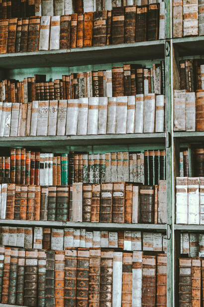 Nietzsche sostuvo que la cultura occidental había privilegiado excesivamente la razón, negando el papel central de los impulsos y la irracionalidad en la vida humana