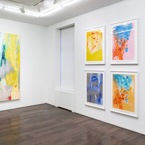 Wallace Whitney, The rich hour, exhibition view. Courtesy of Ceysson and Bénétière