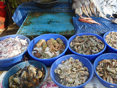 Mercato del pesce. Ph Anna Lauvergnac