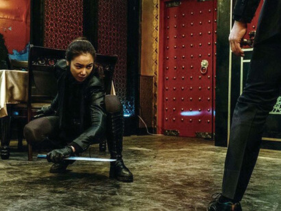 The Villainess