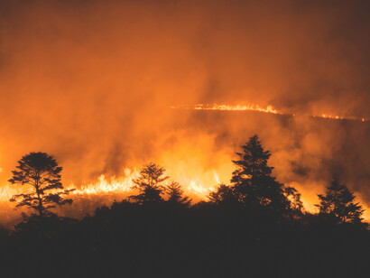 A fire blazing in the distance, with trees in the foreground, Japan