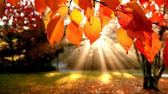 I colori dell'autunno