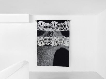 Claudia Wieser, From stone to cloud, exhibition view. Courtesy of Sies + Höke Galerie