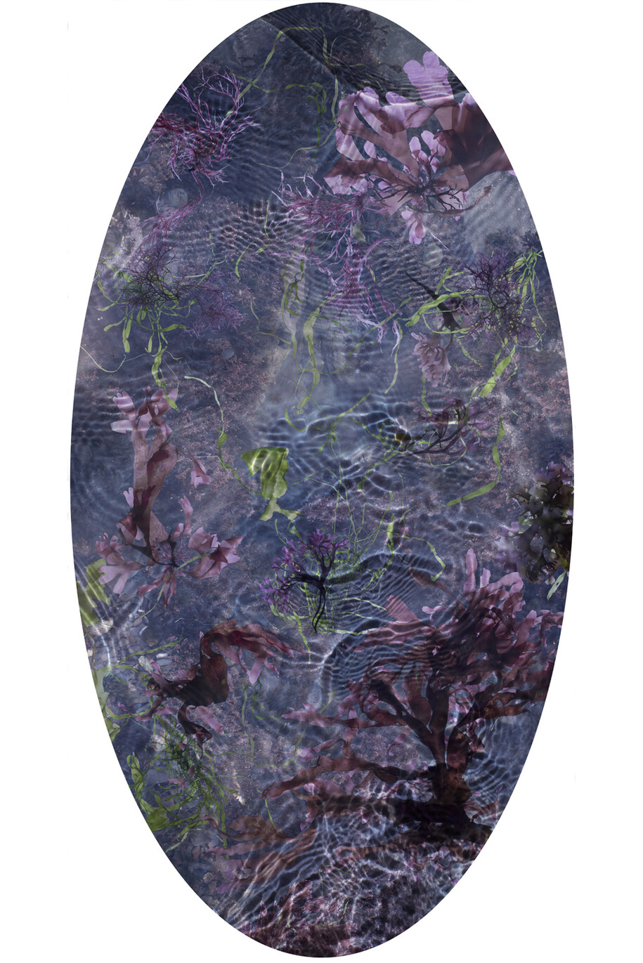 Susan Derges, Tide Pool 30, Unique C type print, 121.9 x 64.5 cm, 48 x 25.3 inches