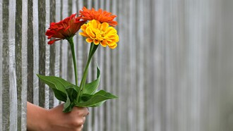 La primavera, uno splendido inizio
