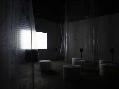 David Brody, Installation view