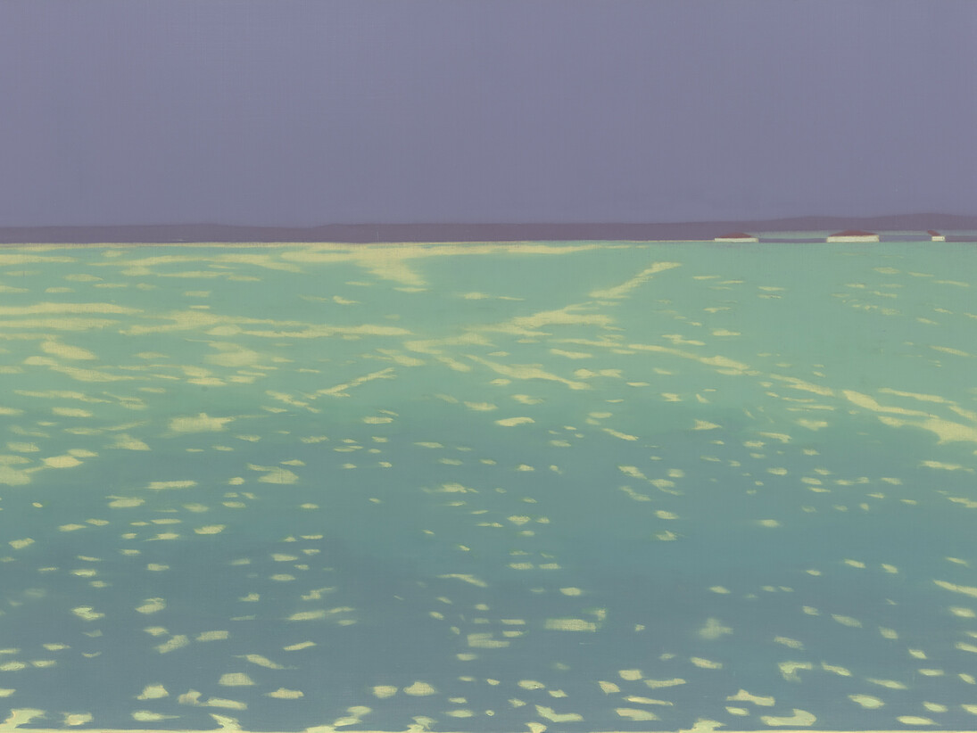 Suzanne Caporael, 689 (Coharie sow farm, N.C.), 2014, Oil on linen, 48 x 66 inches, 121.9 x 167.6 cm