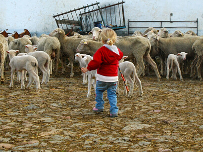 Una niña conviviendo con animales en una granja