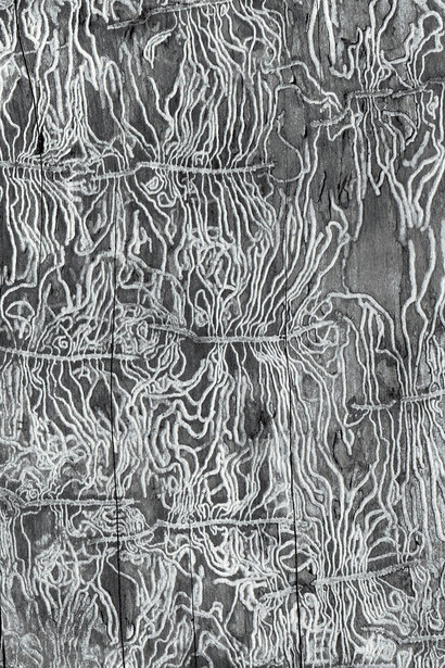Katherine Wolkoff. Courtesy of Benrubi Gallery