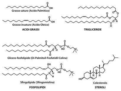 Vita e Natura. Una visione sistemica