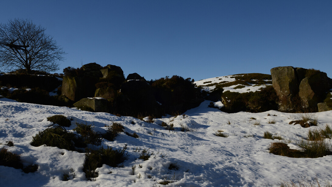 Andy Goldsworthy, Quarry Tree North Yorkshire, England, 10 February 2015, Archival inkjet print, 62.4 x 92.4 cm, courtesy the artist and The Fine Art Society