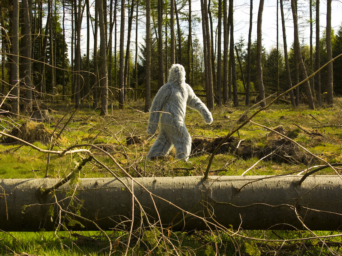 Mark Peter Wright, I, the Thing in the Margins, 2015